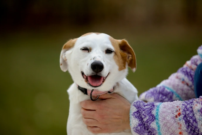 a person holding a dog in their arms